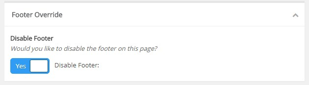 Overriding_a_Footer_on_a_WebPage_3.png